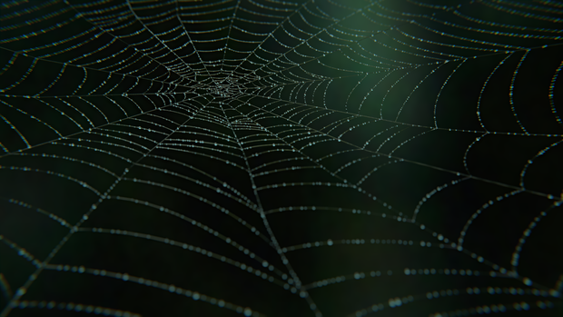 Creating Spider Webs in Blender