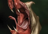 Sample Asset
